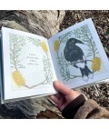 I am a Magpie I am a Currawong